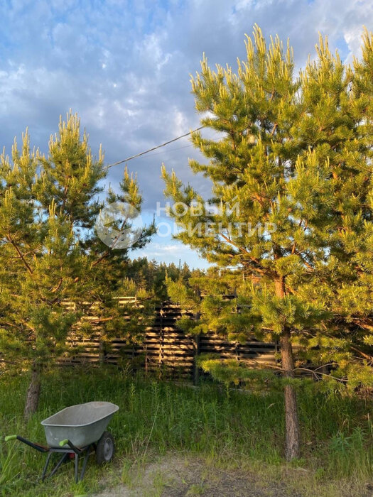 с. Малобрусянское, ул. Олимпийская, 23 (городской округ Белоярский) - фото земельного участка (6)