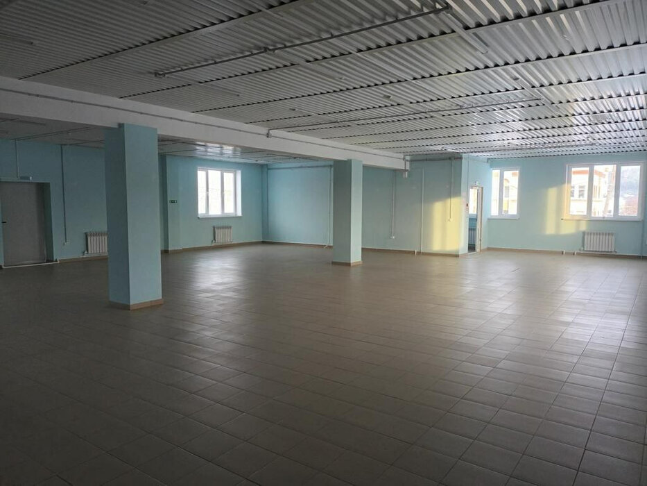 г. Нижние Серги, ул. Розы Люксембург, 71 (Нижнесергинский район) - фото торговой площади (3)