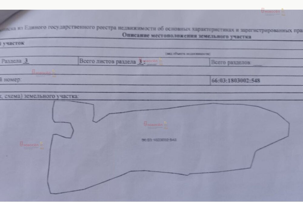 с. Поташка, ул. Ленина (городской округ Артинский) - фото земельного участка (2)