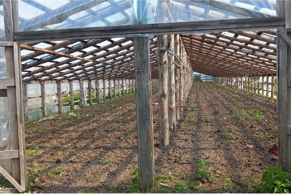 с. Поташка, ул. Ленина (городской округ Артинский) - фото земельного участка (5)