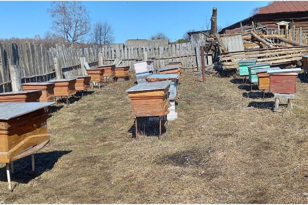 с. Поташка, ул. Ленина (городской округ Артинский) - фото земельного участка (6)