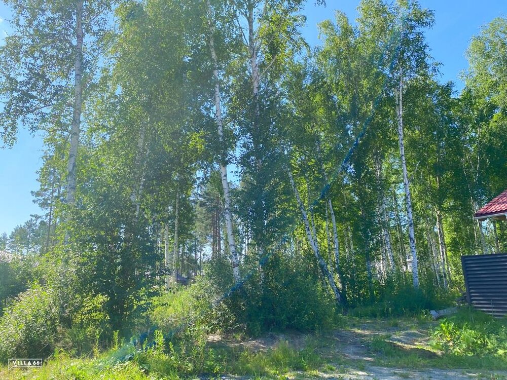 к.п. Заповедник, городской округ Сысертский, п. Габиевский, Челябинское направление, 41, ул. Совята, 7 - фото земельного участка (1)