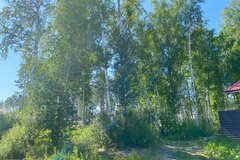 к.п. Заповедник, городской округ Сысертский, п. Габиевский, Челябинское направление, 41, ул. Совята, 7 - фото земельного участка