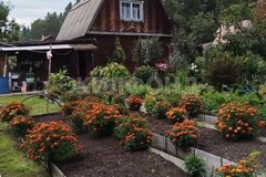 г. Нижний Тагил, ул. Торфяная (КС Росинка),   (городской округ Нижний Тагил) - фото дачи