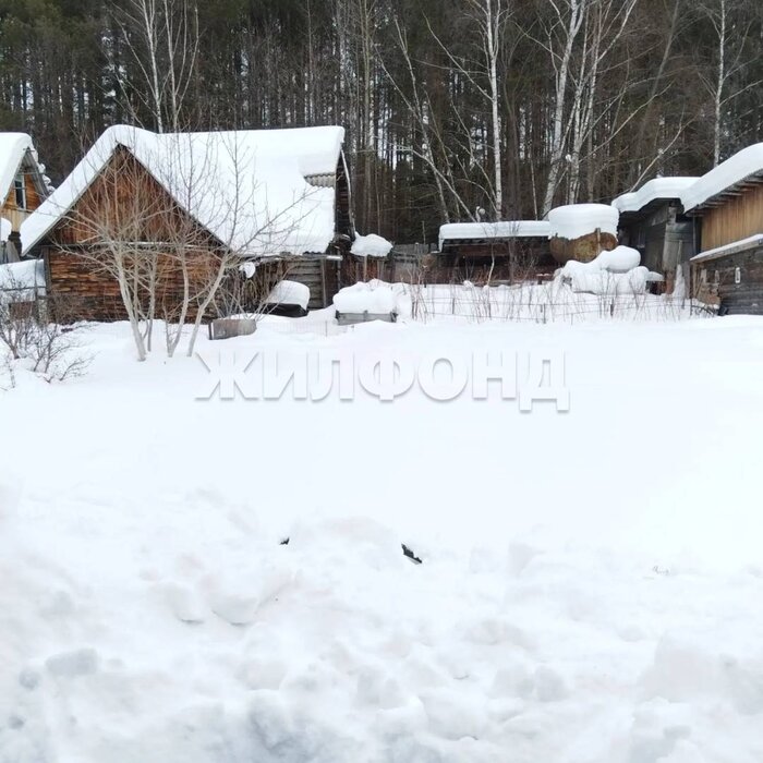 г. Нижний Тагил, ул. Торфяная (КС Росинка),   (городской округ Нижний Тагил) - фото дачи (3)
