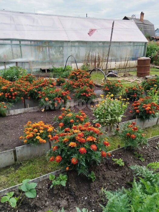 г. Нижний Тагил, ул. Торфяная (КС Росинка),   (городской округ Нижний Тагил) - фото дачи (6)