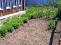 Продажа дома: Екатеринбург, ул. Кытлымская, 19 (Широкая речка) - Фото 3