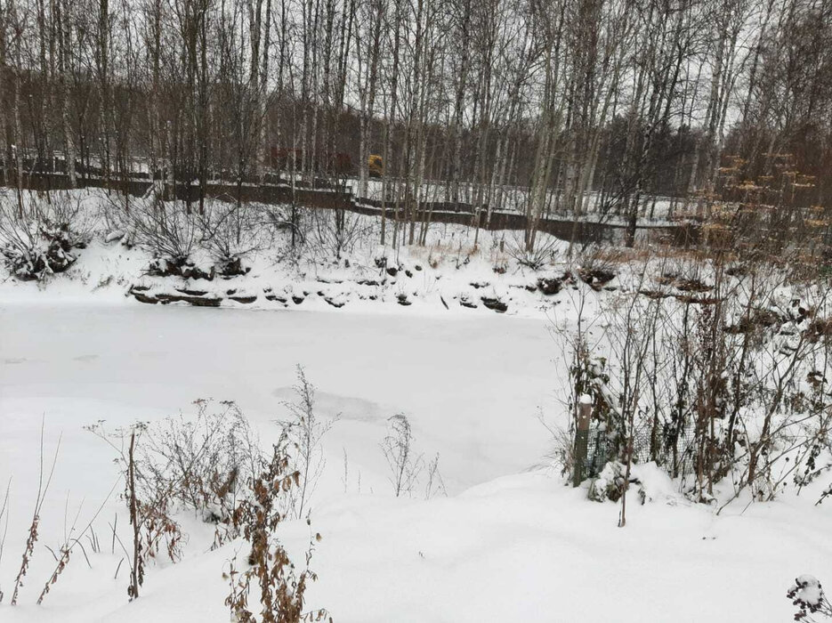 г. Верхняя Пышма, СНТ Экран (городской округ Верхняя Пышма) - фото сада (6)