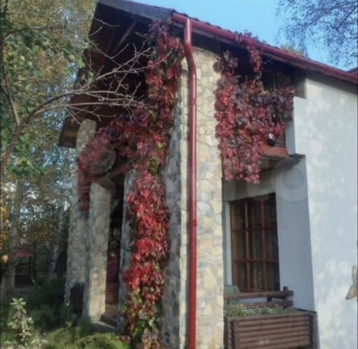 Екатеринбург, ул. СНТ Берёзовая Роща-1, 21 (Широкая речка) - фото коттеджа (2)