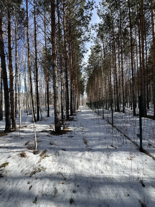 к.п. Заповедник, ул. Лисий Лес, 79 (городской округ Сысертский, п. Габиевский) - фото земельного участка (3)