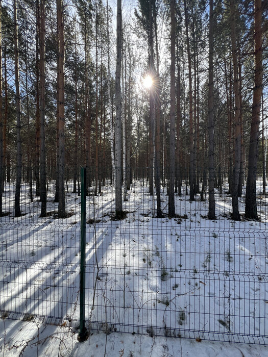 к.п. Заповедник, ул. Лисий Лес, 79 (городской округ Сысертский, п. Габиевский) - фото земельного участка (4)