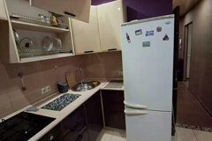 Екатеринбург, ул. Агрономическая, 59 (Вторчермет) - фото квартиры