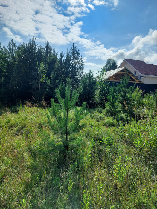 г. Верхняя Пышма, ул. квартал Новое Залесье (городской округ Верхняя Пышма) - фото земельного участка (6)