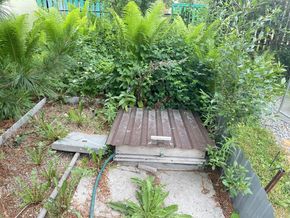 Екатеринбург, СНТ Дружба - фото сада (3)