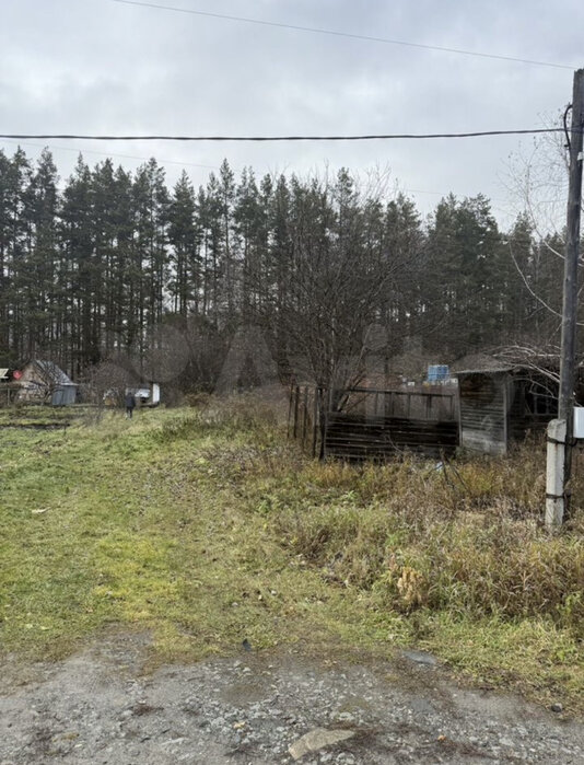 Екатеринбург, СНТ Янтарь, уч. 2 - фото сада (1)