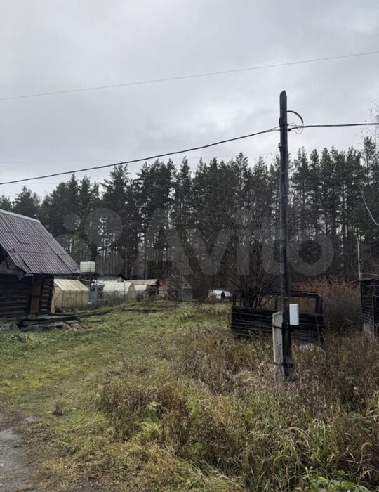 Екатеринбург, СНТ Янтарь, уч. 2 - фото сада (2)