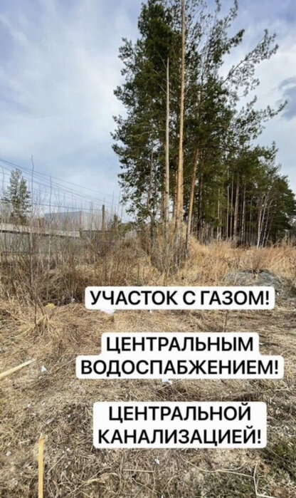 пгт. Верхнее Дуброво, Садоводческое некоммерческое товарищество Горка, уч. 66 (городской округ Верхнее Дуброво) - фото сада (1)