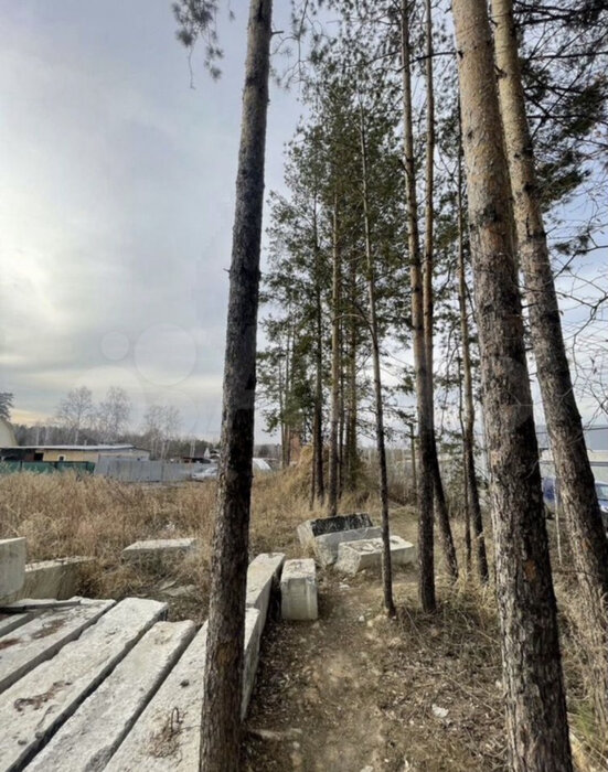 пгт. Верхнее Дуброво, Садоводческое некоммерческое товарищество Горка, уч. 66 (городской округ Верхнее Дуброво) - фото сада (5)