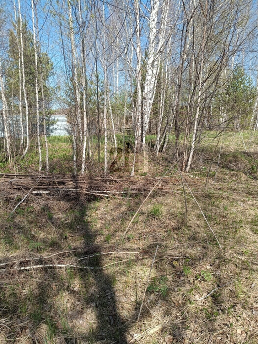 п. Белоярская Застава, ул. Солнечная (городской округ Белоярский) - фото земельного участка (1)