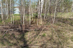 п. Белоярская Застава, ул. Солнечная (городской округ Белоярский) - фото земельного участка