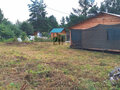 Продажа садового участка: Екатеринбург, СНТ Марс, А66 - Фото 2