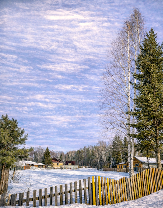 Екатеринбург, Зеленый бор , уч. 97б (Горный щит) - фото сада (2)