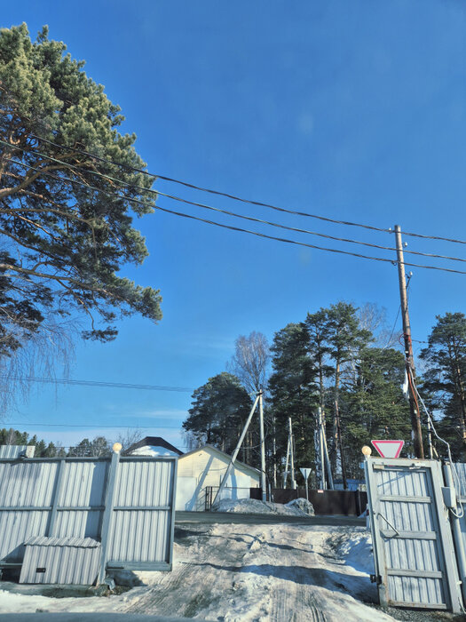 Екатеринбург, Зеленый бор , уч. 97б (Горный щит) - фото сада (8)