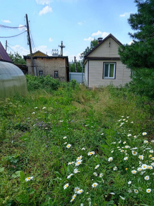 Екатеринбург, КС Горняк, уч. 23 (Палкинский торфяник) - фото сада (5)