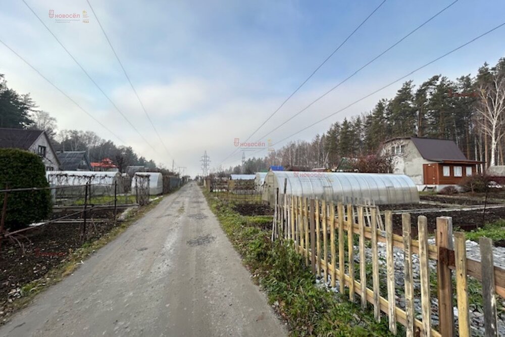 г. Верхняя Пышма, СНТ Белоснежка (городской округ Верхняя Пышма) - фото сада (4)