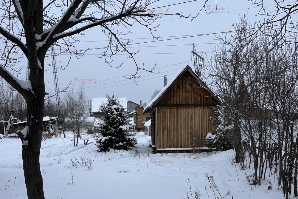 Екатеринбург, СНТ Трамвайщик (Вторчермет) - фото сада (6)