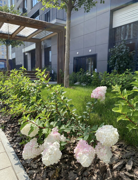 Екатеринбург, ул. Московская, 251 (Автовокзал) - фото квартиры (4)