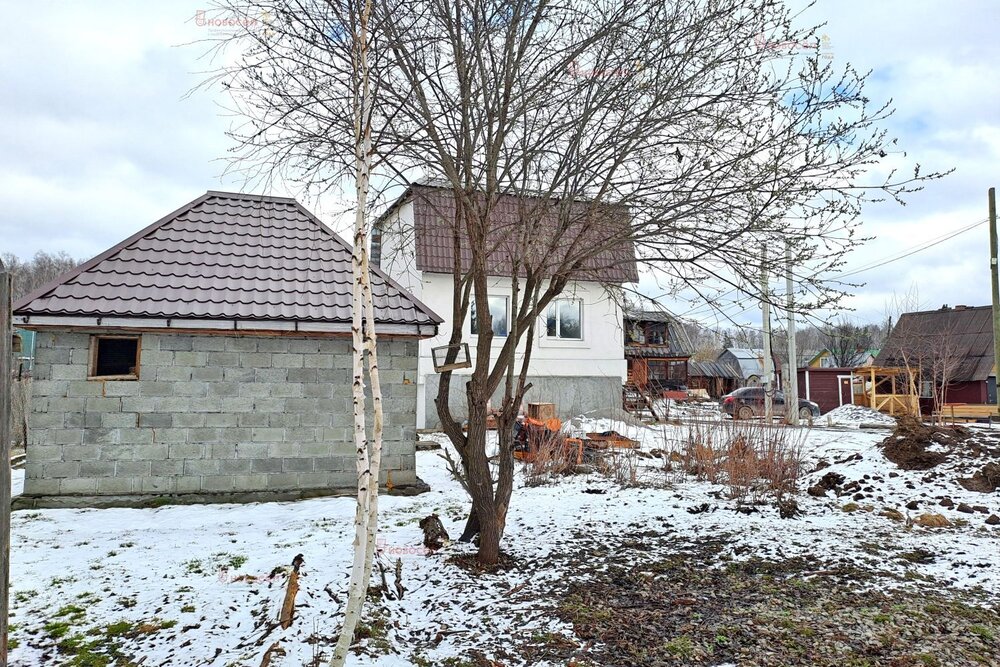 Екатеринбург, с/т Совхозный - фото сада (8)