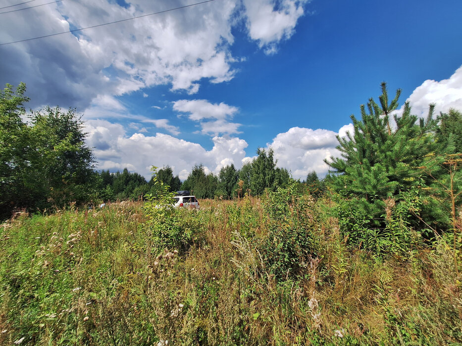с. Мезенское, ул. Изумрудная (городской округ Заречный) - фото земельного участка (4)