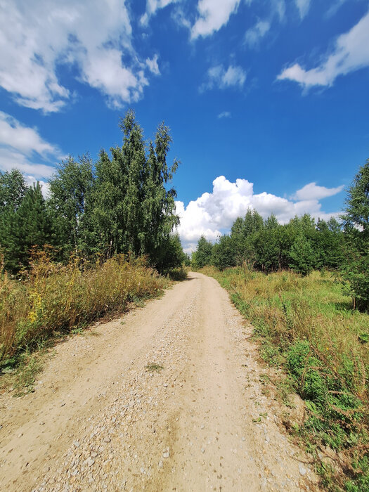 с. Мезенское, ул. Изумрудная (городской округ Заречный) - фото земельного участка (5)