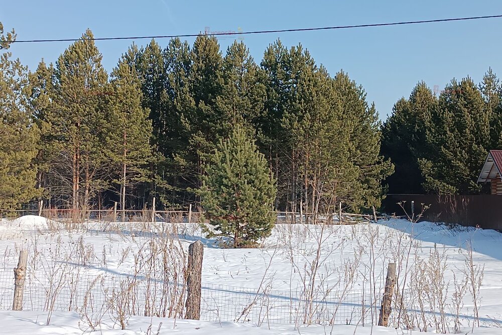 п. Гагарский, ул. 5-ая Парковая, 14 (городской округ Белоярский) - фото земельного участка (2)