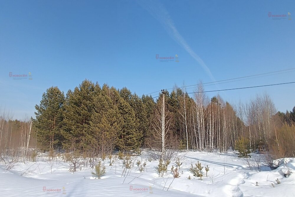 п. Гагарский, ул. 5-ая Парковая, 14 (городской округ Белоярский) - фото земельного участка (5)