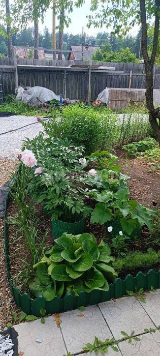 г. Нижний Тагил, КС Лесные Поляны, ул. Вишневая (городской округ Нижний Тагил) - фото сада (5)