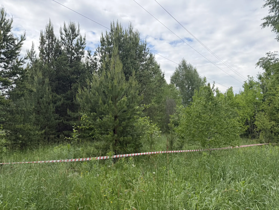 п. Белоярская Застава, ул. проезд. Рябиновый (городской округ Белоярский) - фото земельного участка (10)