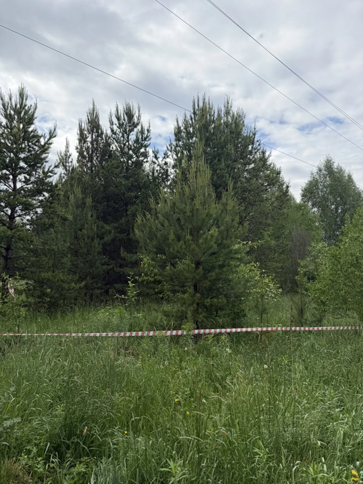 п. Белоярская Застава, ул. проезд. Рябиновый (городской округ Белоярский) - фото земельного участка (11)