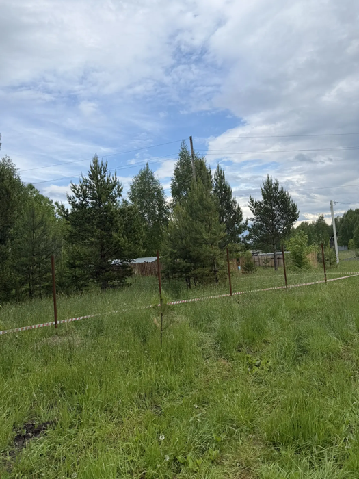 п. Белоярская Застава, ул. проезд. Рябиновый (городской округ Белоярский) - фото земельного участка (2)