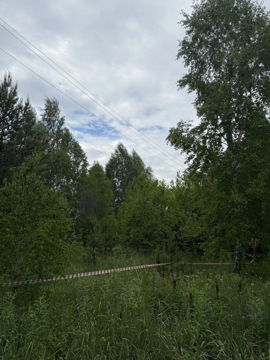 п. Белоярская Застава, ул. проезд. Рябиновый (городской округ Белоярский) - фото земельного участка (6)