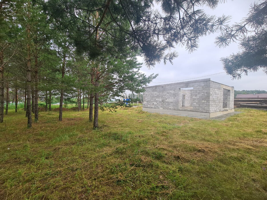 с. Никольское (г.о. Сысертский), ул. дачный посёлок Разгуляй, 2 (городской округ Сысертский) - фото сада (1)