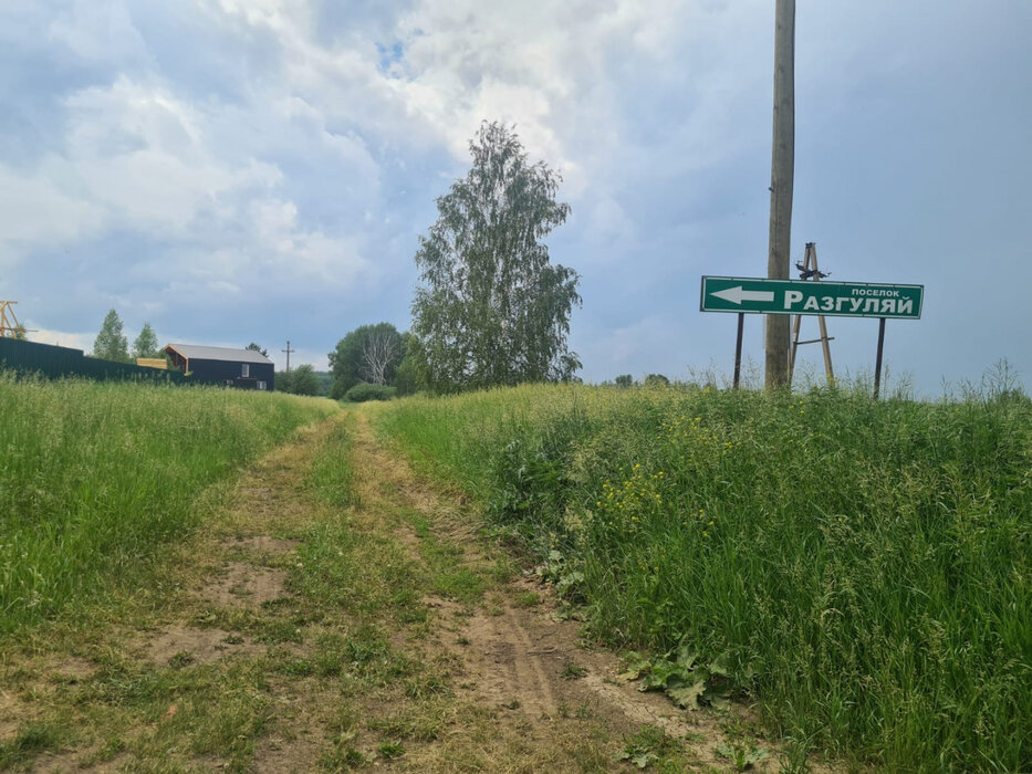 с. Никольское (г.о. Сысертский), ул. дачный посёлок Разгуляй, 2 (городской округ Сысертский) - фото сада (2)