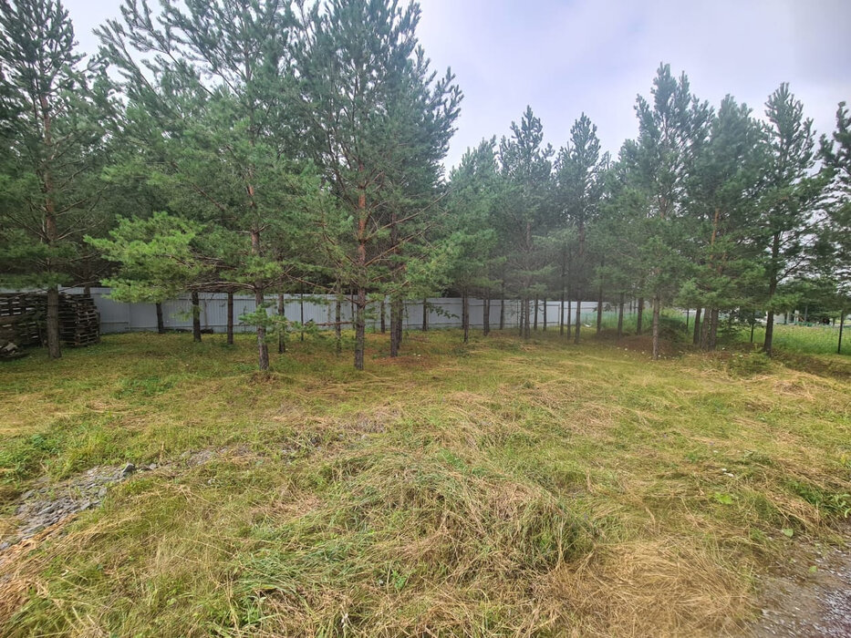 с. Никольское (г.о. Сысертский), ул. дачный посёлок Разгуляй, 2 (городской округ Сысертский) - фото сада (7)