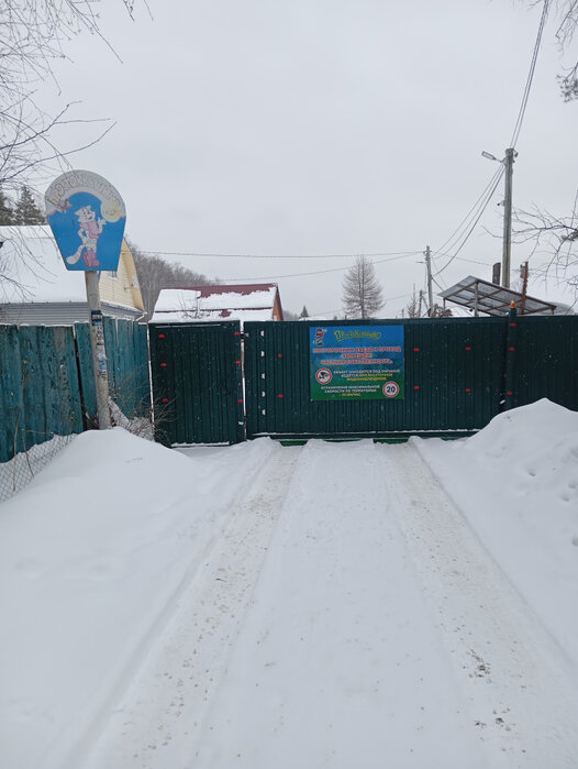 г. Верхняя Пышма, СНТ Простоквашино (городской округ Верхняя Пышма) - фото сада (2)