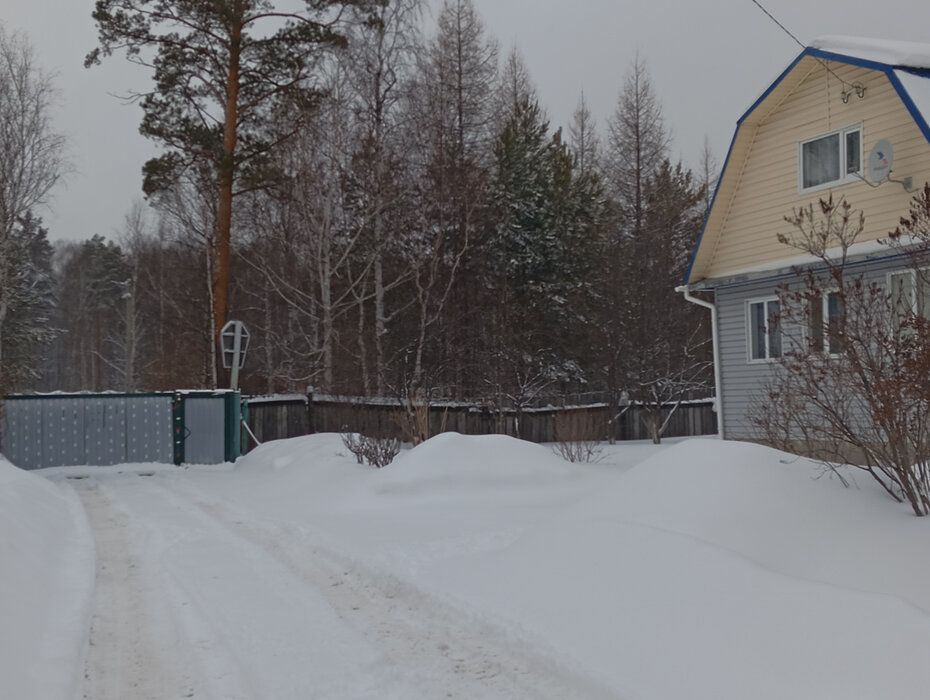 г. Верхняя Пышма, СНТ Простоквашино (городской округ Верхняя Пышма) - фото сада (4)