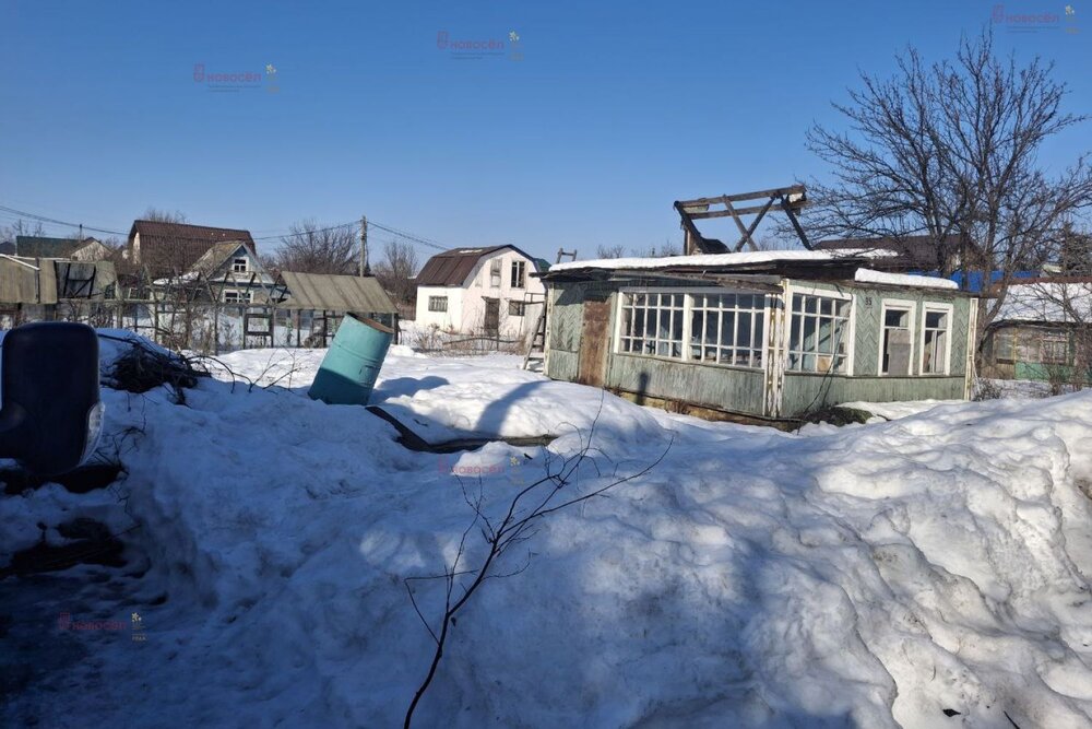 Екатеринбург, СНТ Буровик-2 - фото сада (2)