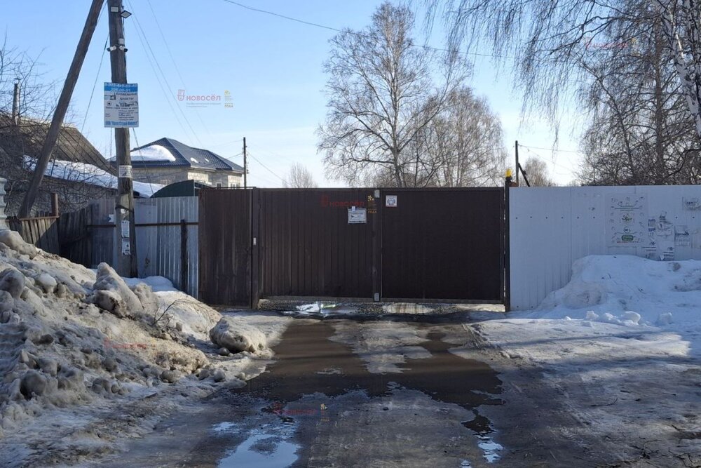 Екатеринбург, СНТ Буровик-2 - фото сада (4)