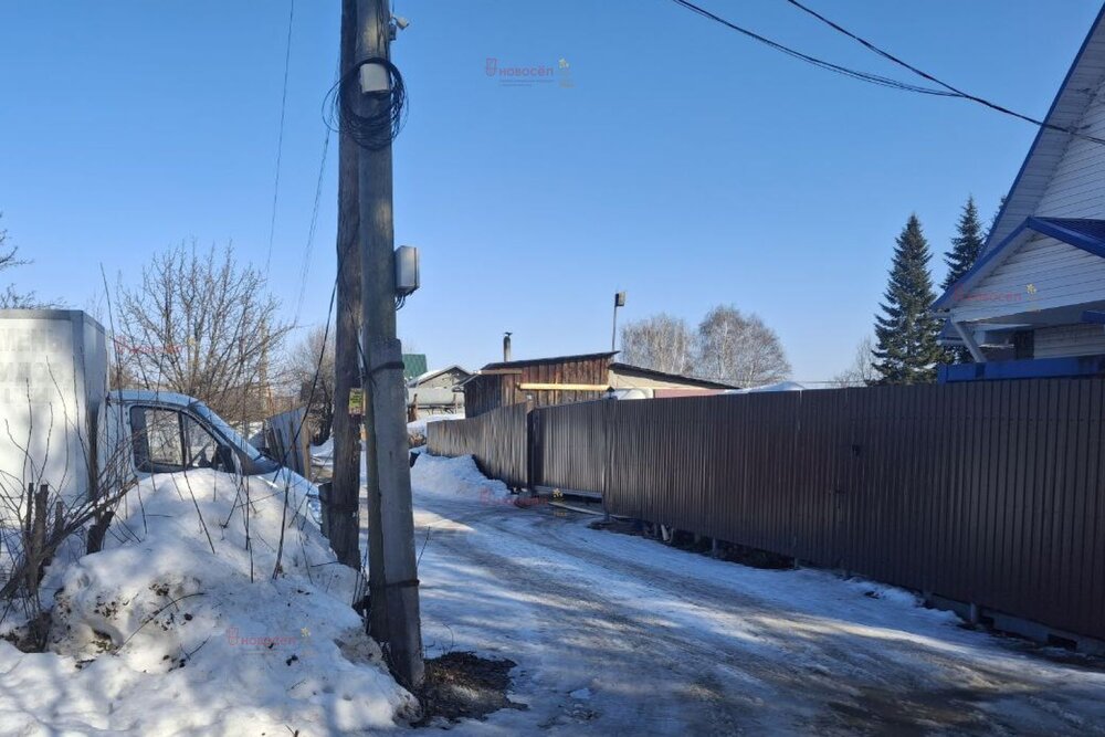 Екатеринбург, СНТ Буровик-2 - фото сада (6)