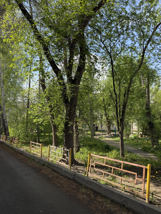 Екатеринбург, ул. Академическая, 29 (Втузгородок) - фото квартиры (16)